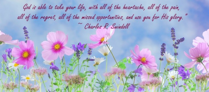 wild-flowers-571940_19201