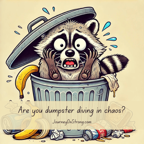 Are you dumpster diving in chaos?